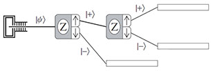 Paradigms in Physics: Quantum Activities